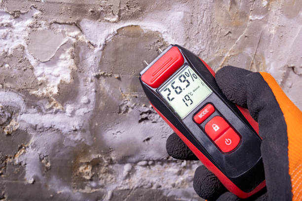 New London, IA Mold Removal Company